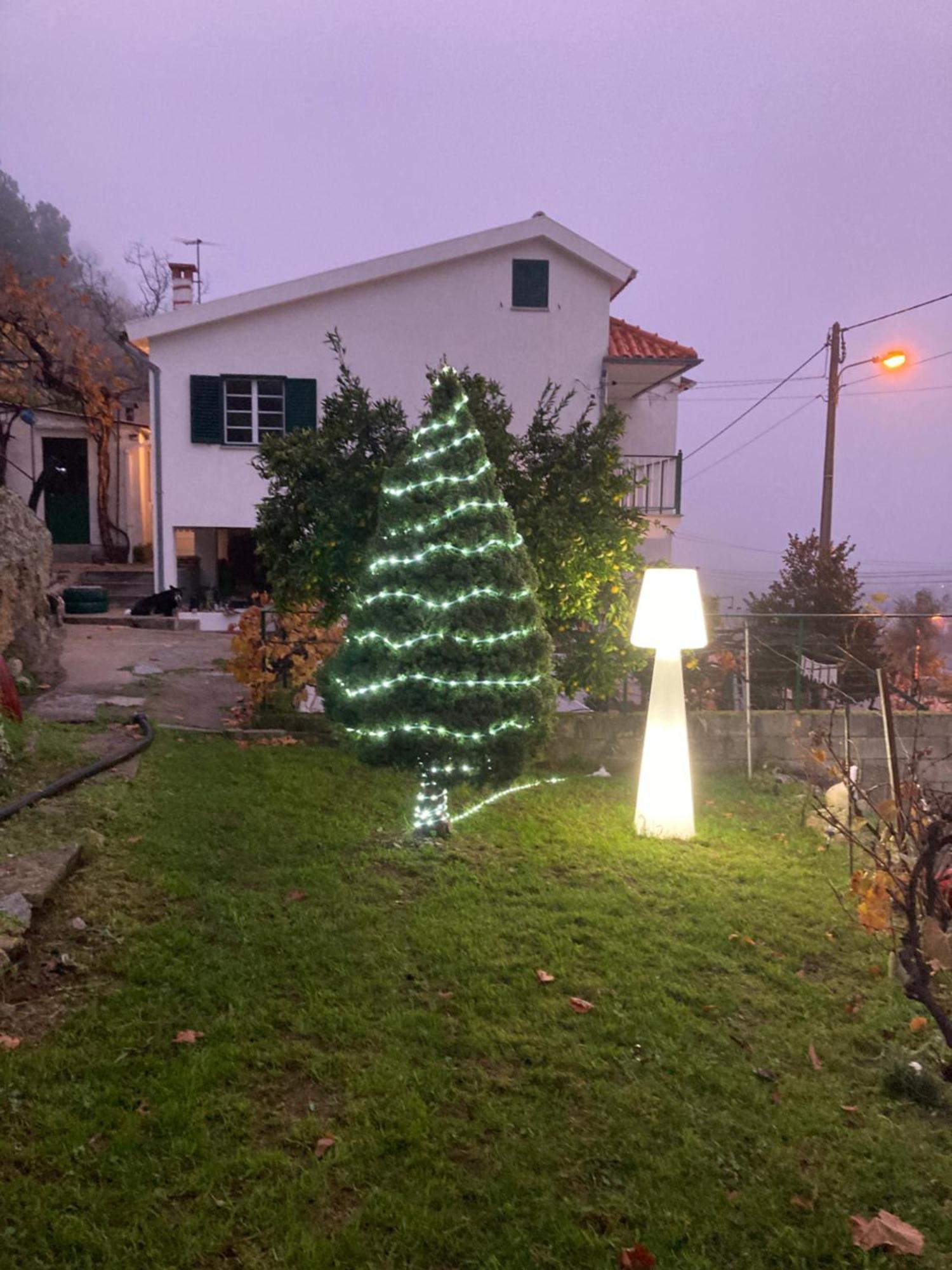 A Casa Da Rapariga De Cabelo Azul Lejlighed Manteigas Eksteriør billede